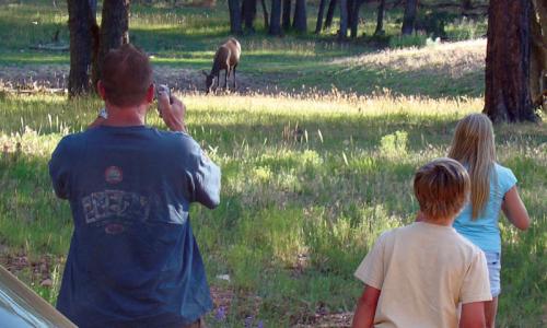 Canyon National Park Family Vacation