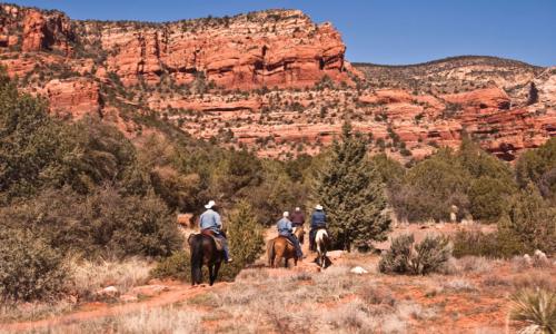 Grand Canyon Horseback Riding