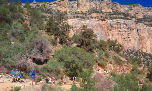 Bright Angel Trail in Grand Canyon National Park