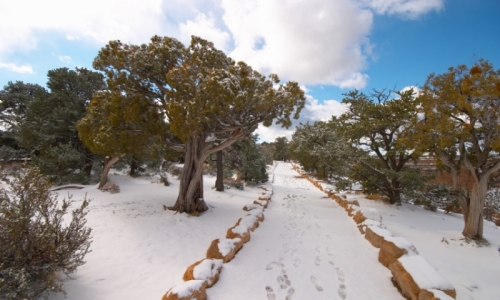 Grand Canyon National Park Arizona Winter Trail Snow Hiking