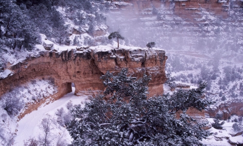 Hiking Trail in the Winter Grand Canyon Arizona Hiking Trail Winter Snow