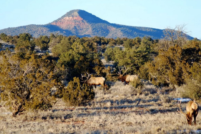 Arizona Vacation Rental Homes — , 