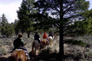 Grand Canyon Guided Trail Rides