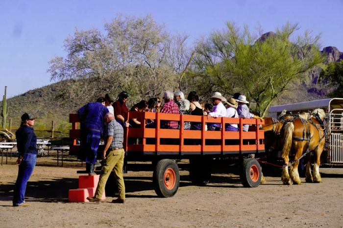 Grand Canyon GC Trail Rides — , 