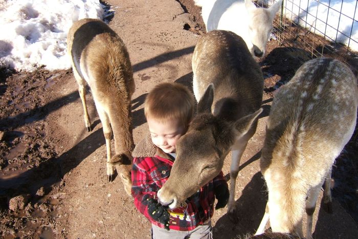Grand Canyon Deer Farm — Williams, AZ