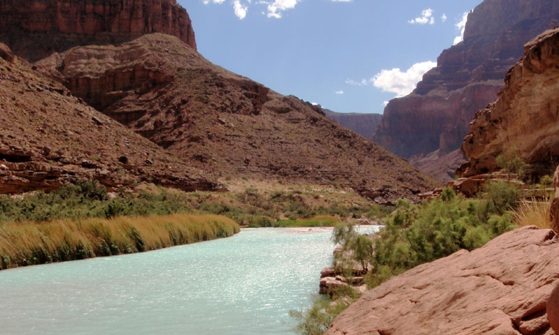 Little Colorado Canyon