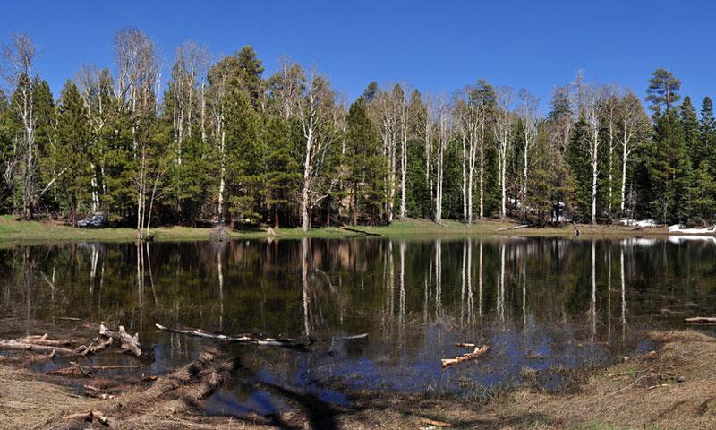 Greenland Lake along Cape Royal Road