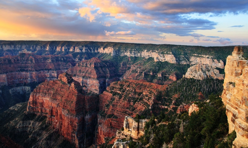 Kaibab Plateau along the North Rim