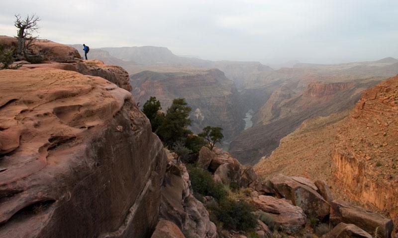 Backpacker coming out at Toroweap