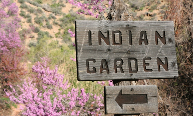 Indian Garden