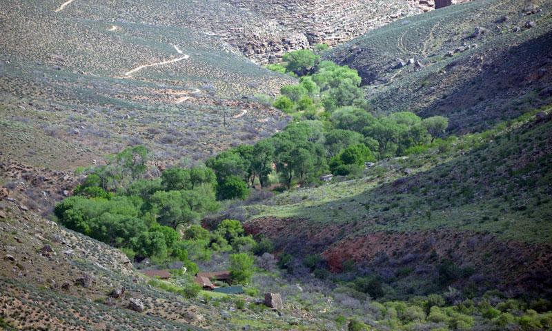 Indian Garden along the Bright Angel Trail