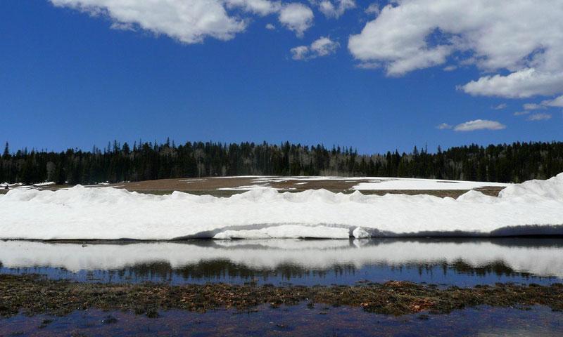 Snow along the North Rim