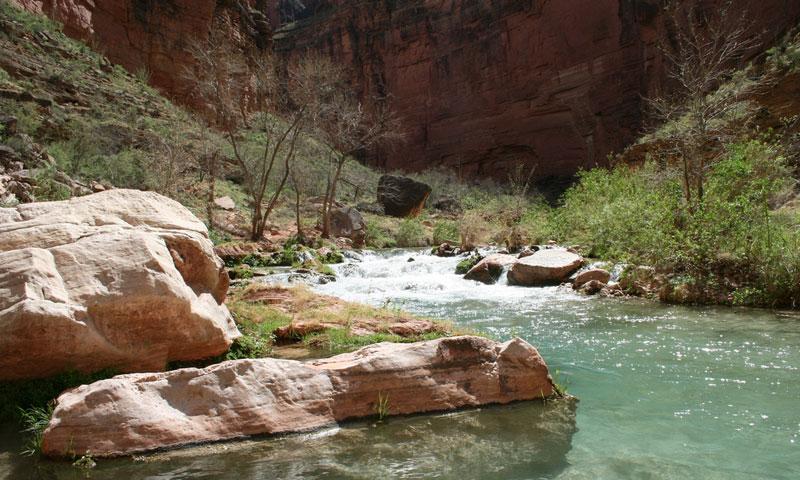Havasu Canyon
