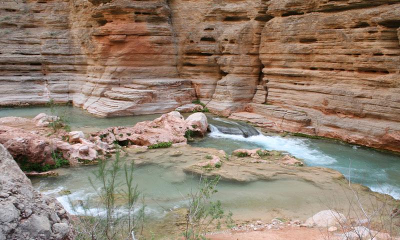 Havasu Canyon