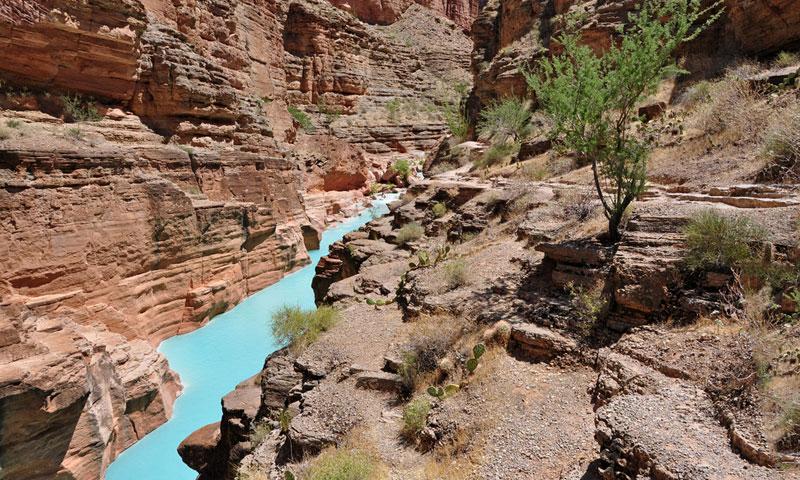 Havasu Creek meets the Colorado River in the Grand Canyon