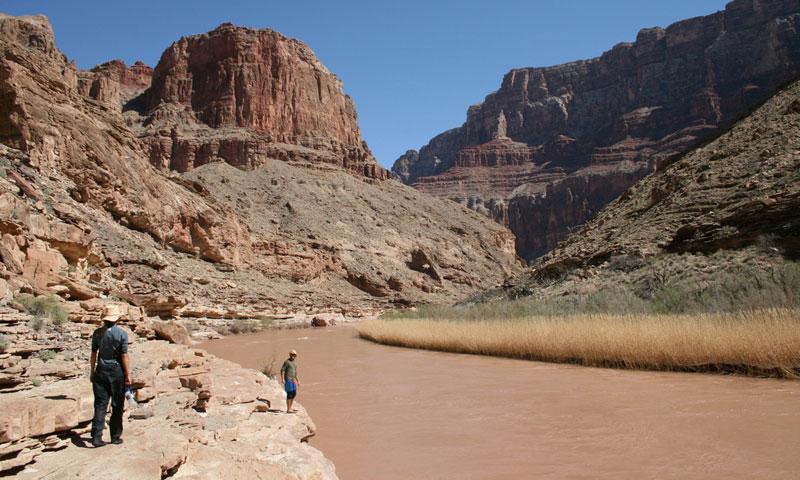 At the Confluence with the Little Colorado