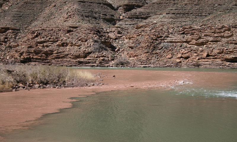 At the Confluence with the Little Colorado