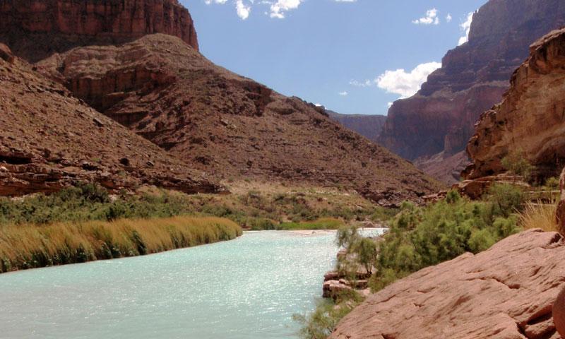Little Colorado Canyon